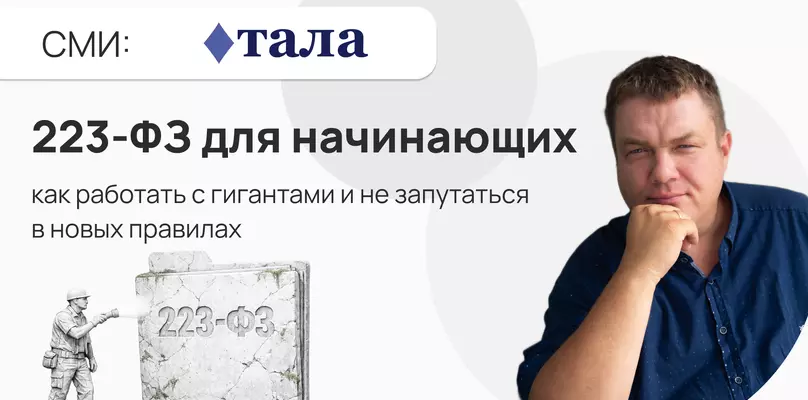 223-ФЗ для начинающих: как работать с гигантами и не запутаться в новых правилах