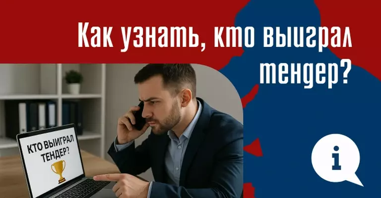 Как узнать, кто выиграл тендер: инструкция