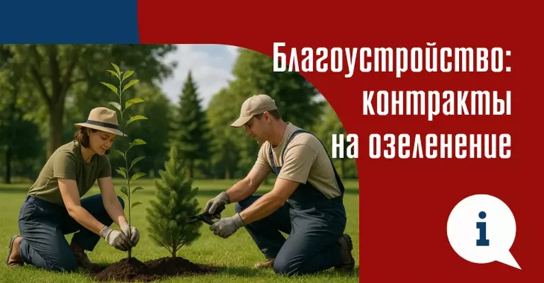 Тендеры на благоустройство: как выиграть контракт на озеленение