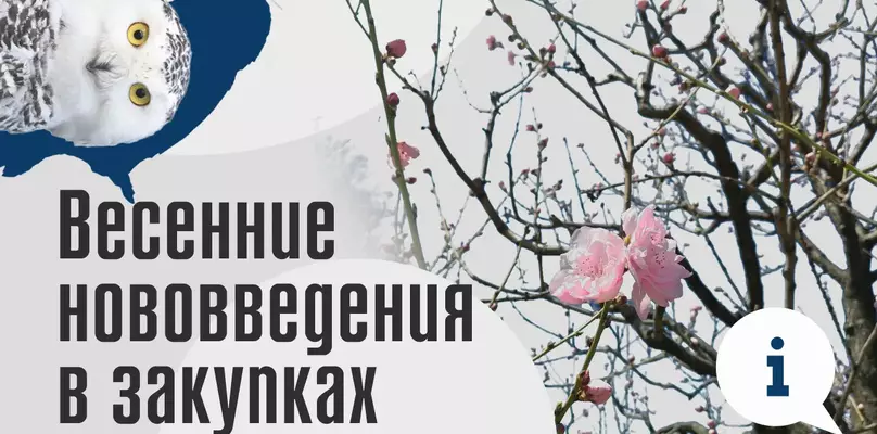 Цифровизация госзакупок с 1 апреля 2025