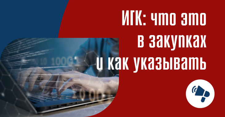 ИГК в закупках: что это и как указать в счёте/УПД